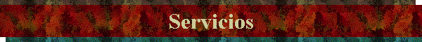 Servicios